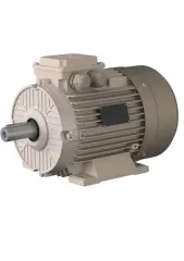 OMEGA Motor 0.75 Kw, 1500 Devir, B3 Ayaklı