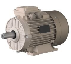 Omega Motor 2.2 Kw 3000 Devir B3 Ayaklı