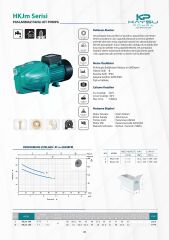 Kaysu HKJm 15H Paslanmaz Fanlı Jet Pompa 1.5 HP